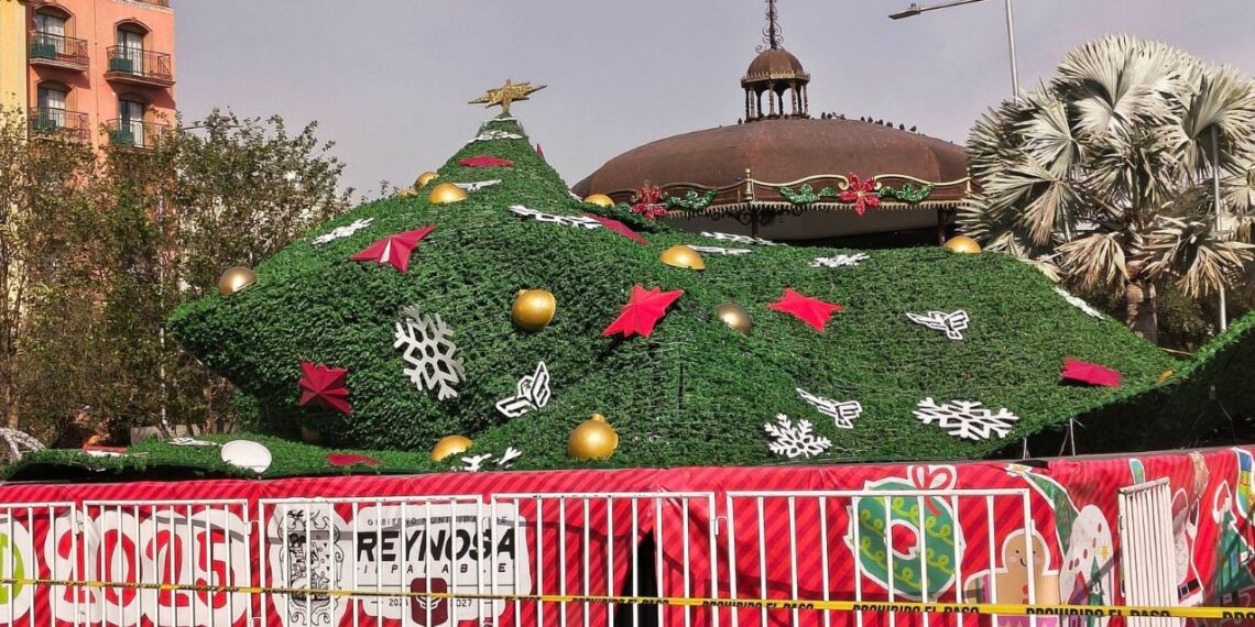 Fuertes vientos derriban Pino Navideño gigante en Reynosa, Tamaulipas