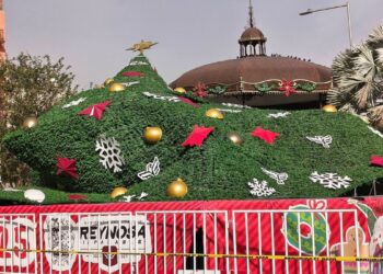 Fuertes vientos derriban Pino Navideño gigante en Reynosa, Tamaulipas