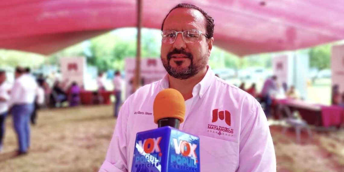 Gobierno de Matamoros, Tamaulipas, habilita centro de acopio para pinos navideños