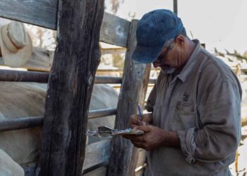 Nuevo Laredo ganaderos aplicación ivermectina