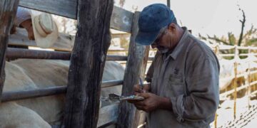 Nuevo Laredo ganaderos aplicación ivermectina