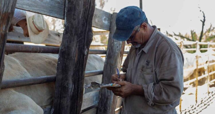 Nuevo Laredo ganaderos aplicación ivermectina