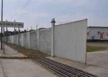 Gusano barrenador frena ingreso de ganado y reduce actividad en rastro de Tampico, Tamaulipas