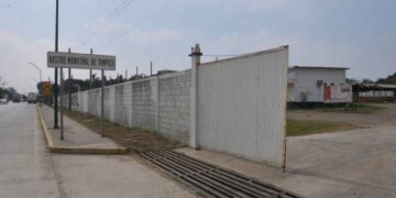 Gusano barrenador frena ingreso de ganado y reduce actividad en rastro de Tampico, Tamaulipas
