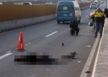 Hombre pierde la vida tras ser embestido en la autopista México-Puebla