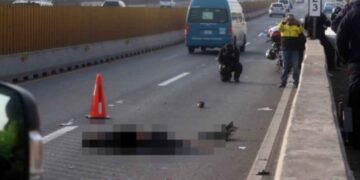 Hombre pierde la vida tras ser embestido en la autopista México-Puebla
