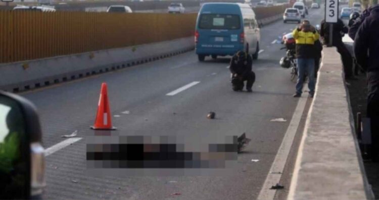 Hombre pierde la vida tras ser embestido en la autopista México-Puebla