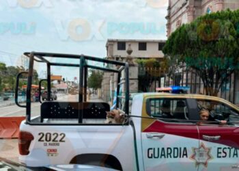 Joven atacado por perro en Madero