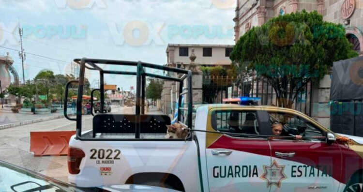 Joven atacado por perro en Madero