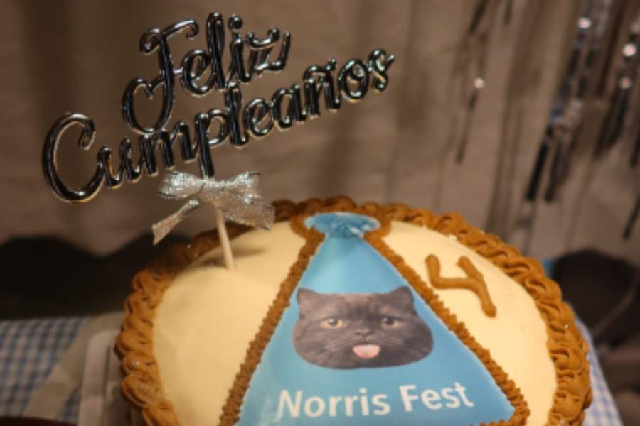 Karime Pindter celebra los 4 años de Norris con una fiesta íntima en casa