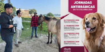 brigadas vacunación y control animal Tampico