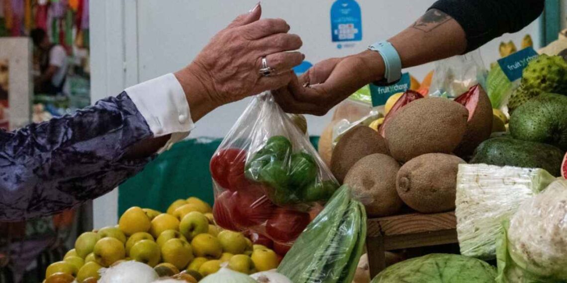 Morena renovación PACIC