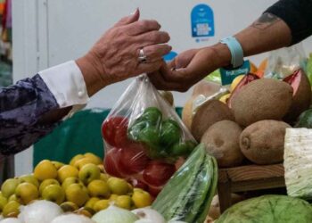 Morena renovación PACIC