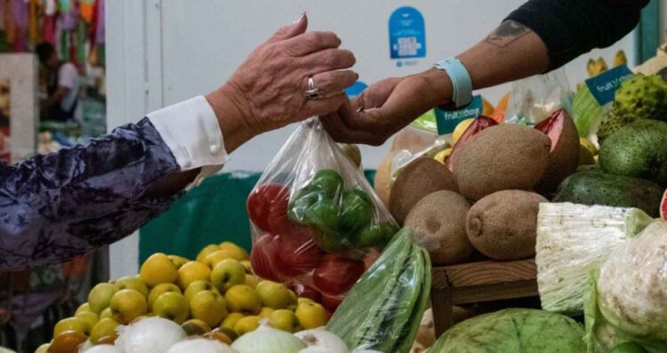 Morena renovación PACIC