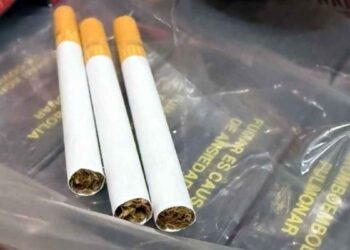 Operativo policial intercepta 88 toneladas de cigarrillos en aeropuerto de la Ciudad de México