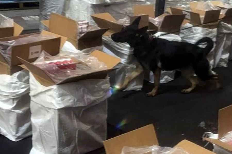 Operativo policial intercepta 88 toneladas de cigarrillos en el aeropuerto de la Ciudad de México