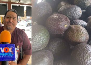 Precio del aguacate 2026 en Tamaulipas