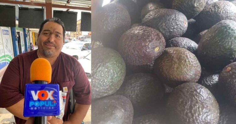 Precio del aguacate 2026 en Tamaulipas