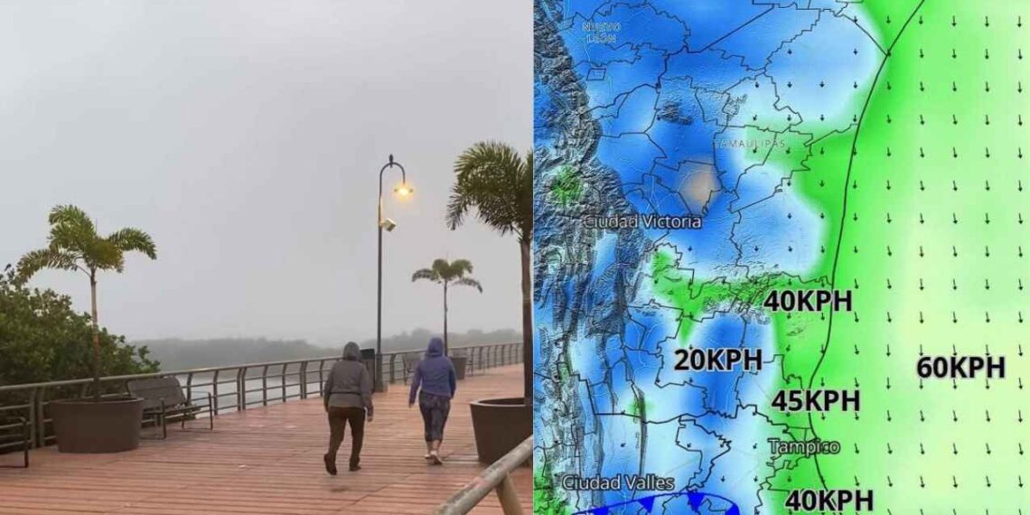 zona sur Tamaulipas frente frío