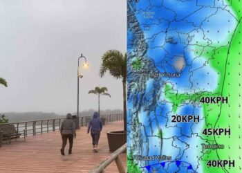 zona sur Tamaulipas frente frío