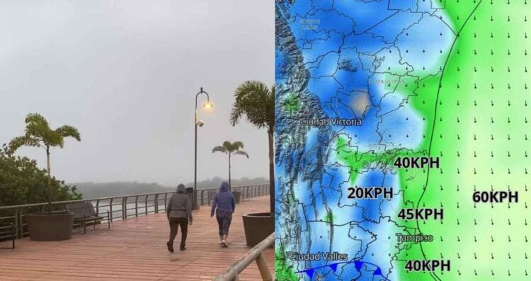zona sur Tamaulipas frente frío