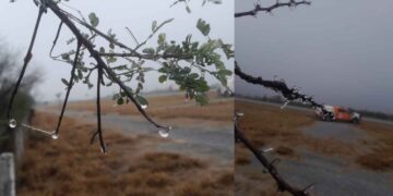 Protección Civil de Nuevo León reporta caída de aguanieve y formación de hielo en varios municipios