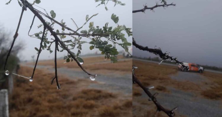Protección Civil de Nuevo León reporta caída de aguanieve y formación de hielo en varios municipios
