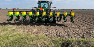 Próximo frente frío no causaría daños al campo del norte de Tamaulipas