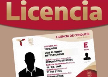 Qué es la Licencia Aprendiz en Tamaulipas