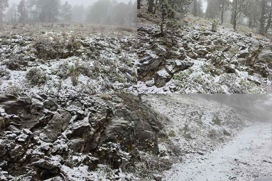 Reportan caída de nieve en el Cerro del Potosí en Galeana, Nuevo León