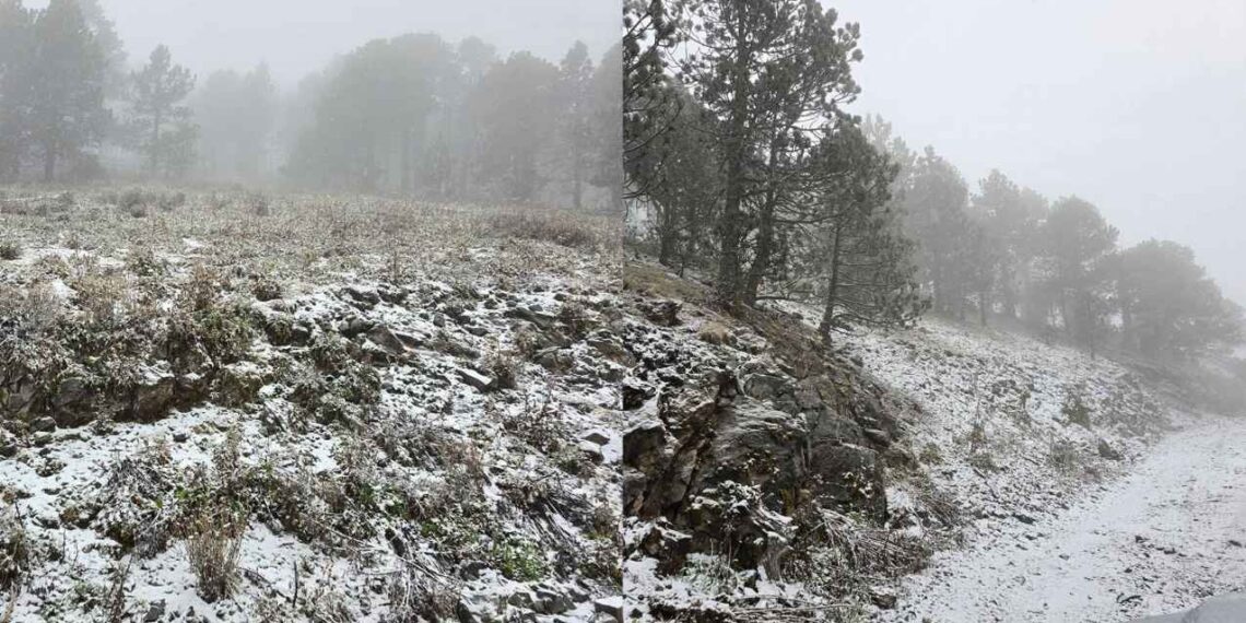 Reportan caída de nieve en el Cerro del Potosí en Galeana, Nuevo León