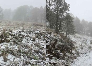Reportan caída de nieve en el Cerro del Potosí en Galeana, Nuevo León