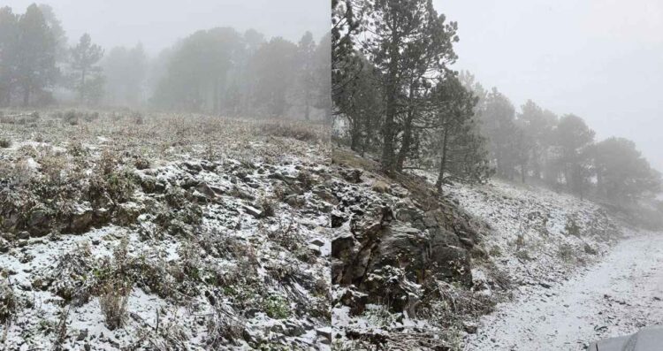 Reportan caída de nieve en el Cerro del Potosí en Galeana, Nuevo León