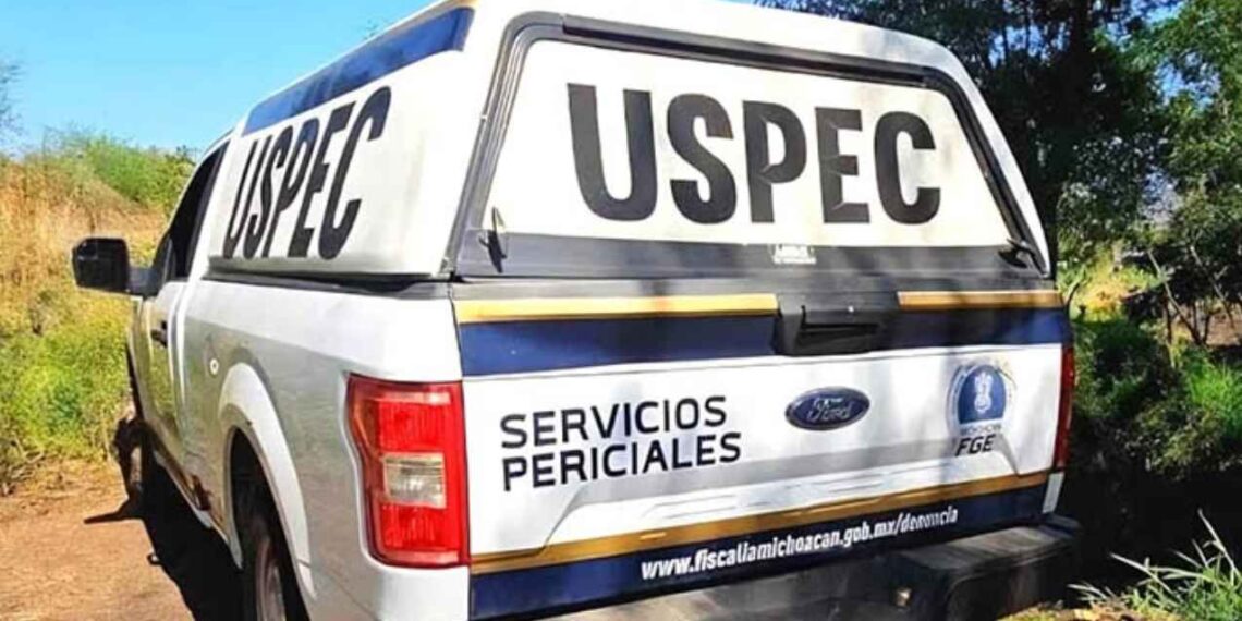 Seis hombres son localizados sin vida en un paraje en Apatzingán, Michoacán