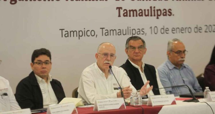 Tamaulipas combate al gusano barrenador