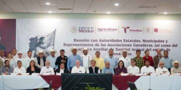 Tampico refuerza gusano barrenador