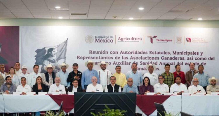 Tampico refuerza gusano barrenador