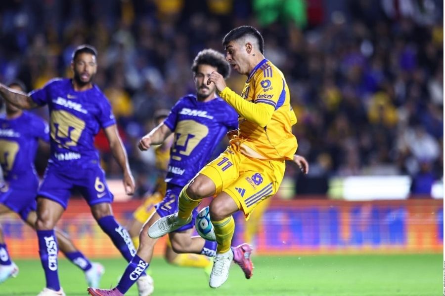 Tigres pierde ante Pumas