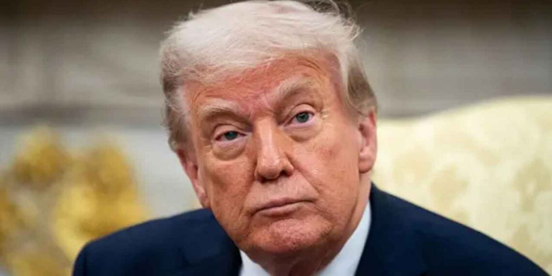 Trump cárteles México