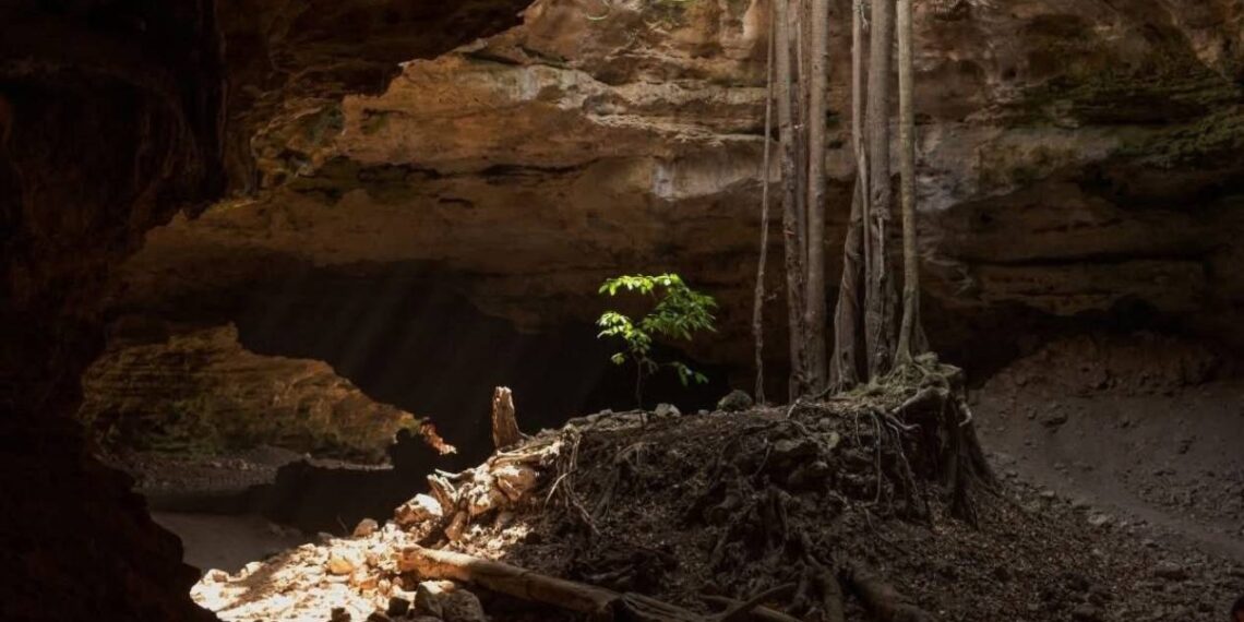 Turismo Mundial FIFA 2026