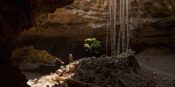 Turismo Mundial FIFA 2026