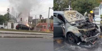 camioneta llamas Avenida de Las Américas