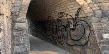 abandono de arroyo loco en tula