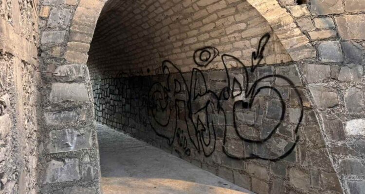 abandono de arroyo loco en tula