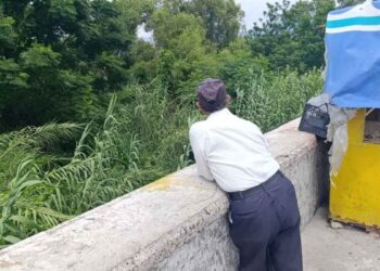 casos de depresión Tamaulipas 2025