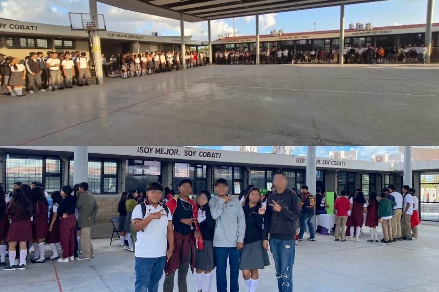 cobat palmitas matamoros