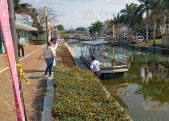 cuerpo en descomposición canal Tampico