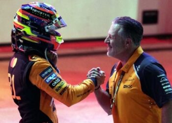 errores McLaren temporada 2025