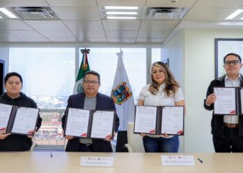 estufas eficientes de leña Tamaulipas
