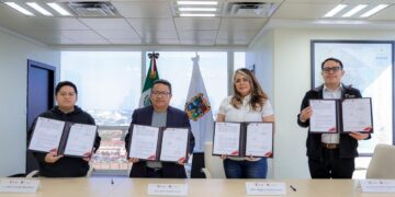 estufas eficientes de leña Tamaulipas